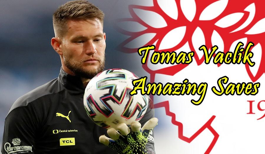 Tomáš Vaclík Amazing Saves (videos)